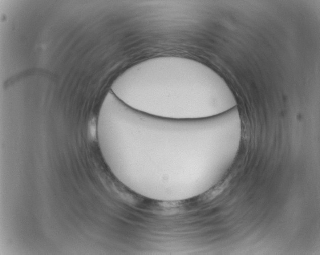 X0000065970095200603172101