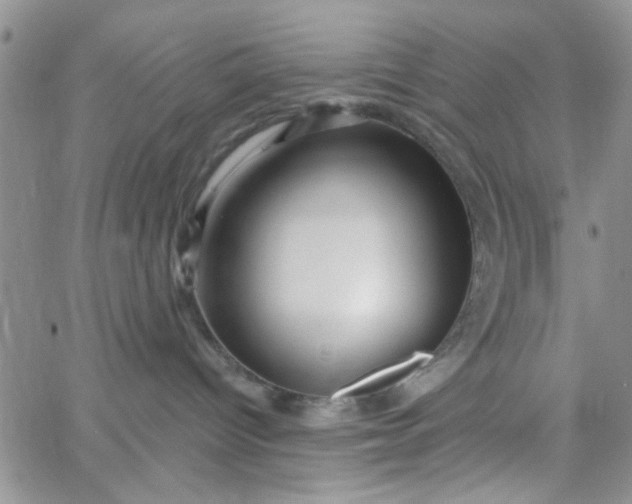 X0000065970096200603172101