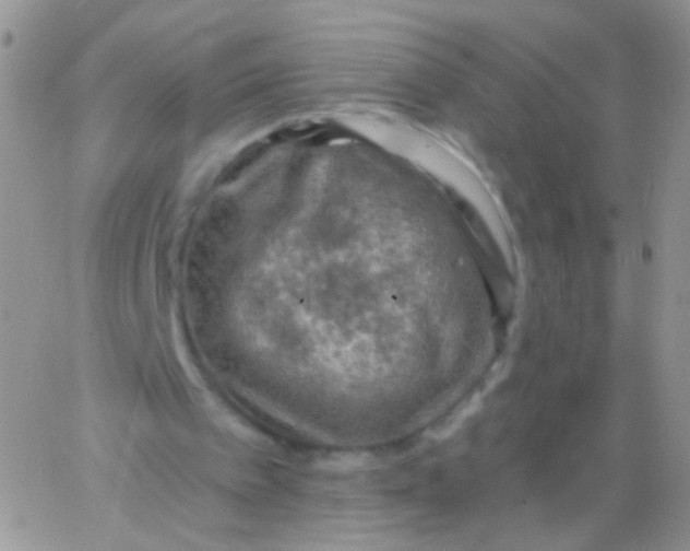 X0000065970097200603172100