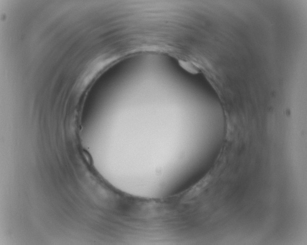 X0000065970098200603172100