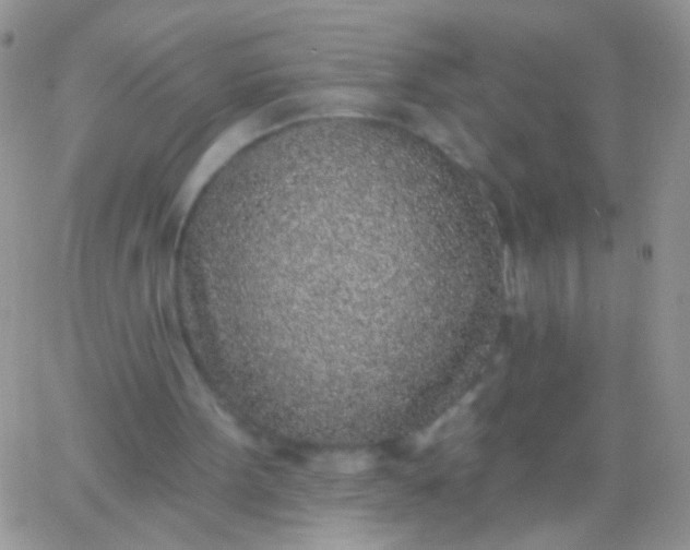 X0000065970099200603172100