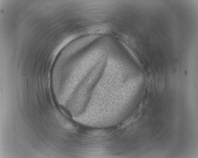 X0000065970100200603172100