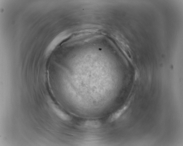 X0000065970101200603172100