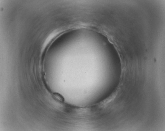 X0000065970102200603172100