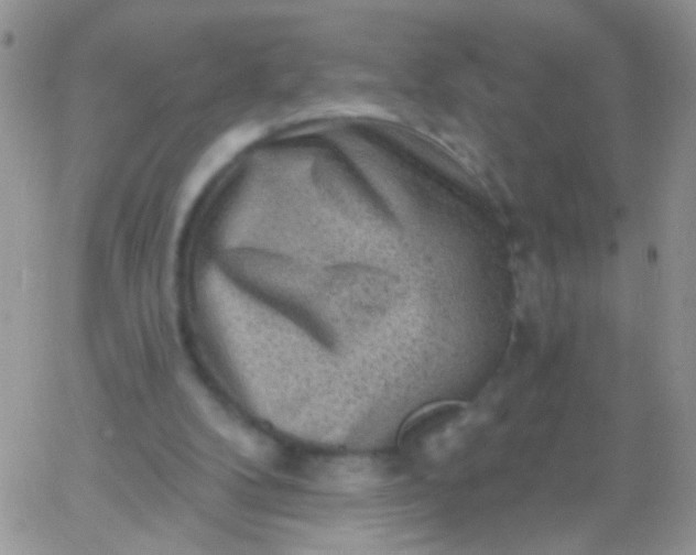 X0000065970104200603172100