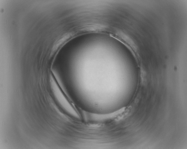 X0000065970105200603172100