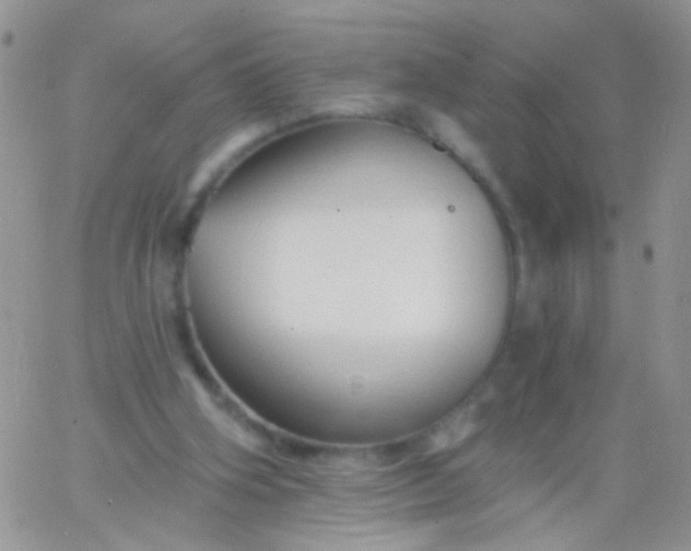 X0000065970106200603172100