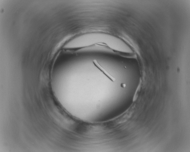 X0000065970107200603172100