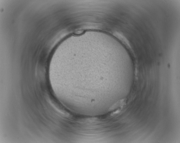 X0000065970108200603172100