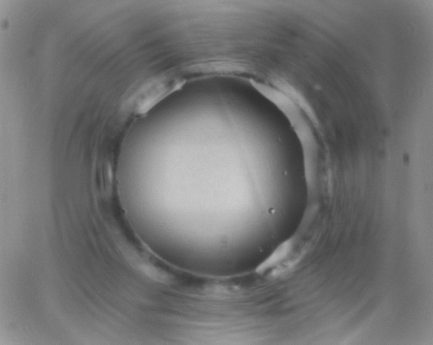 X0000065970109200603172100