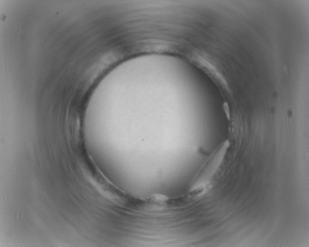 X0000065970110200603172100