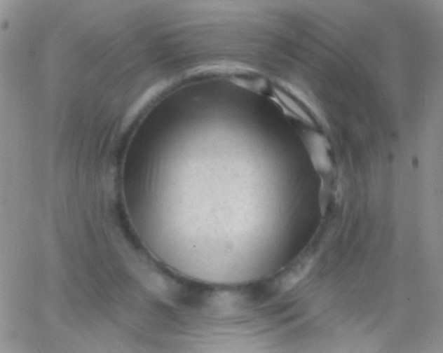 X0000065970111200603172100