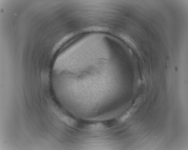 X0000065970112200603172100