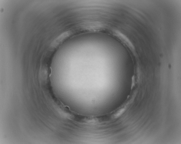 X0000065970113200603172100