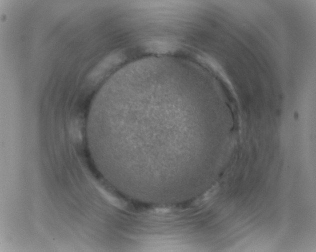 X0000065970114200603172100