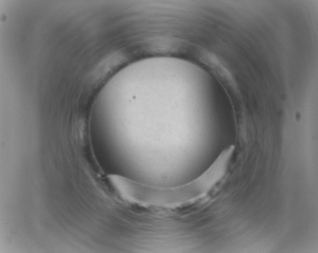 X0000065970115200603172100