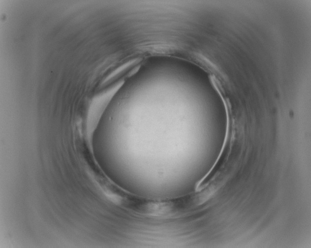 X0000065970117200603172100