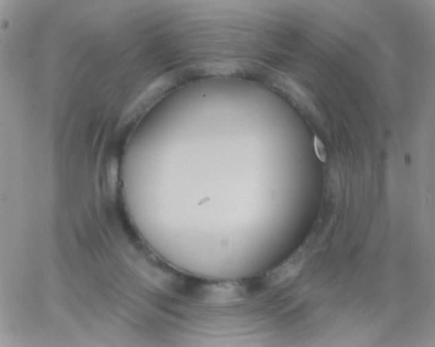 X0000065970118200603172100