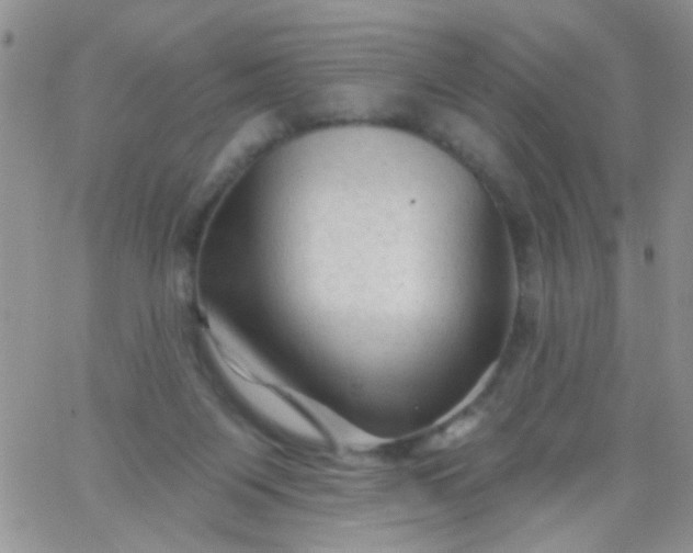 X0000065970119200603172100