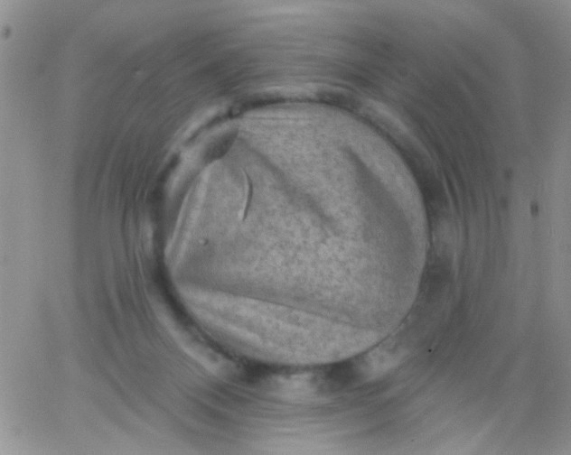 X0000065970120200603172100