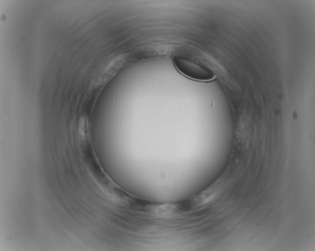 X0000065970122200603172100