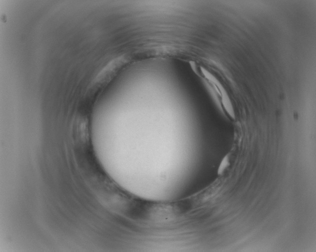 X0000065970123200603172100