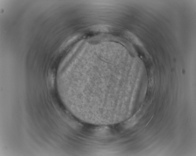 X0000065970124200603172100