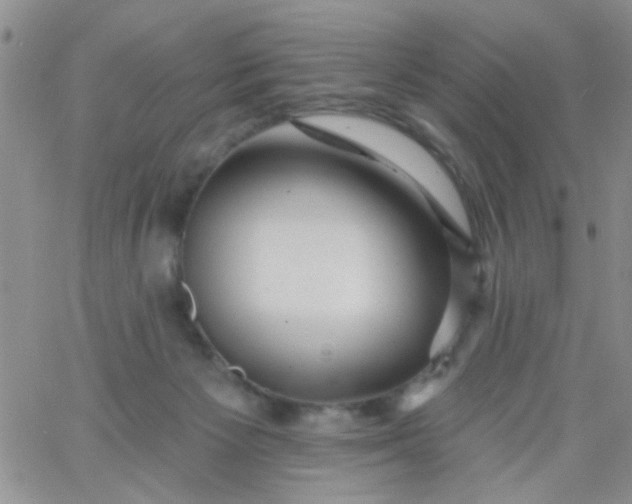 X0000065970125200603172100