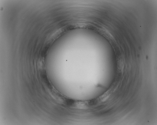 X0000065970126200603172100