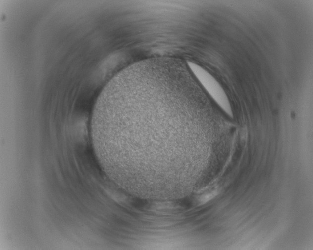 X0000065970127200603172100