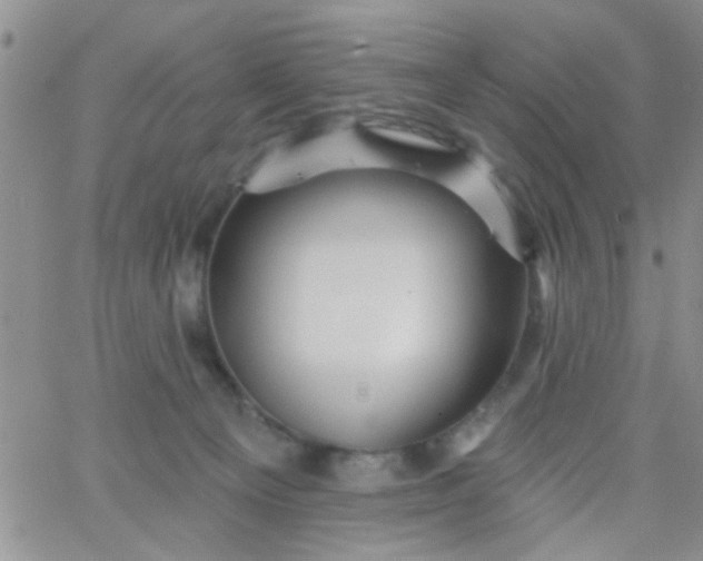 X0000065970129200603172059