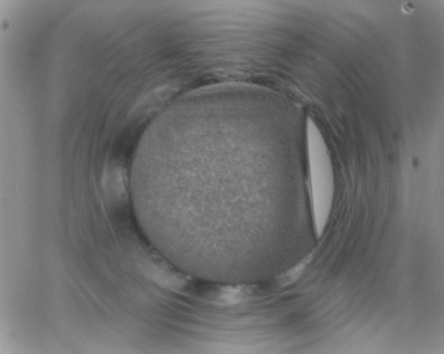 X0000065970130200603172059