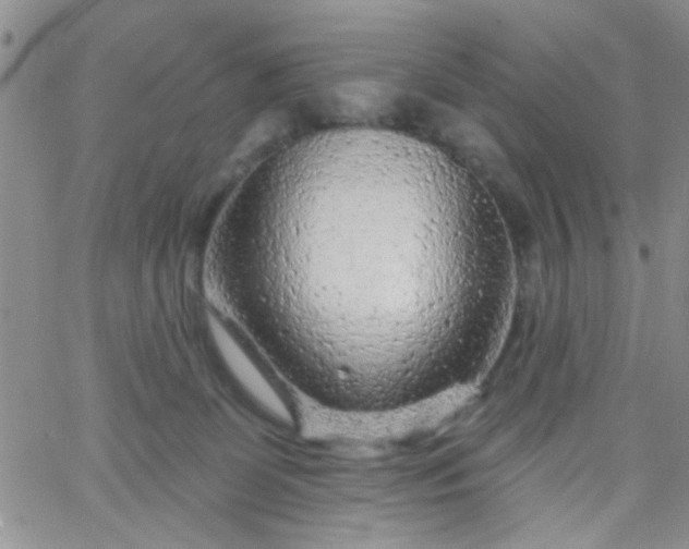 X0000065970131200603172059