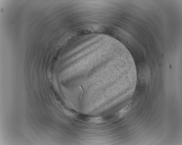 X0000065970132200603172059