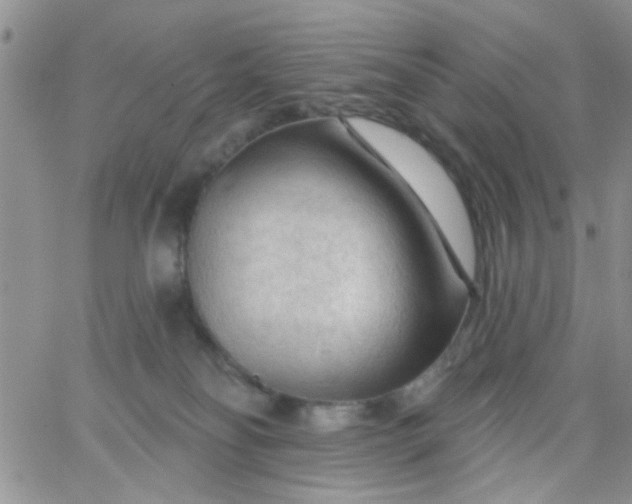 X0000065970134200603172059