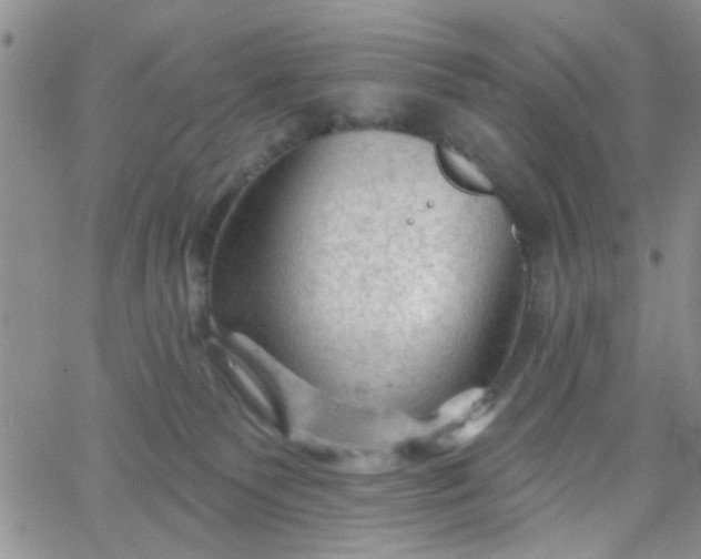 X0000065970135200603172059