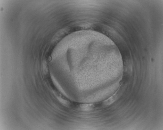 X0000065970136200603172059