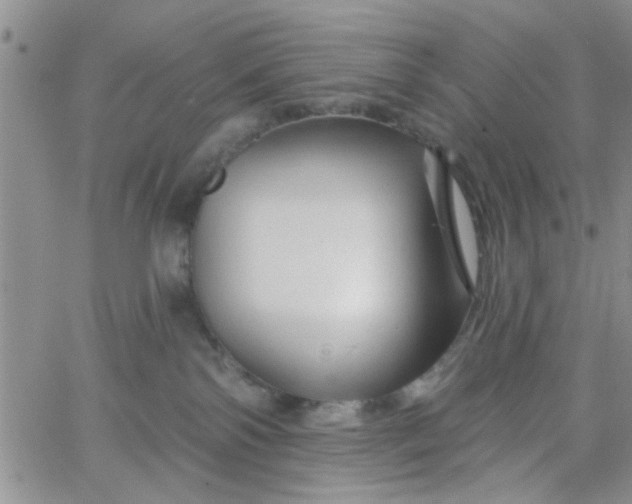 X0000065970138200603172059