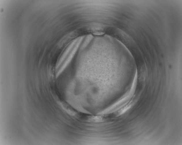 X0000065970140200603172059