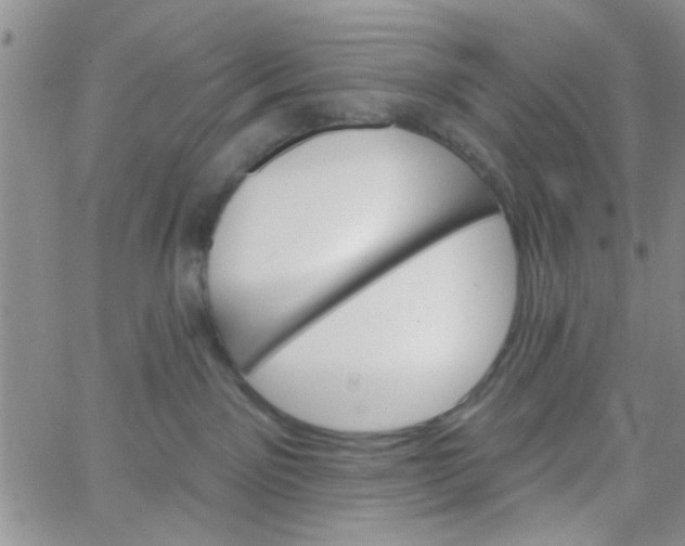 X0000065970141200603172059