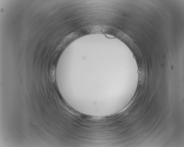 X0000065970142200603172059