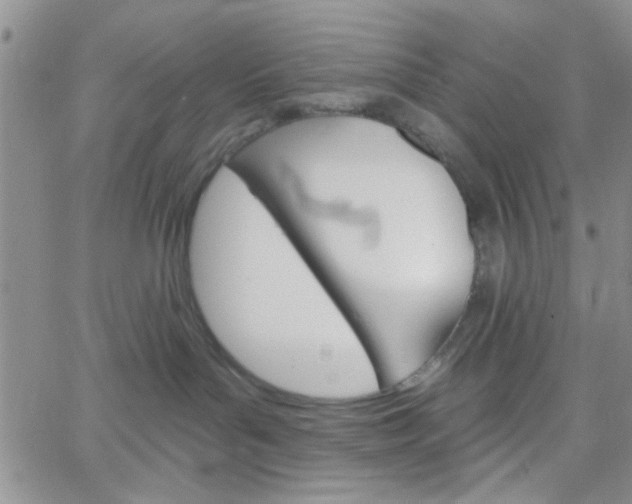 X0000065970143200603172059