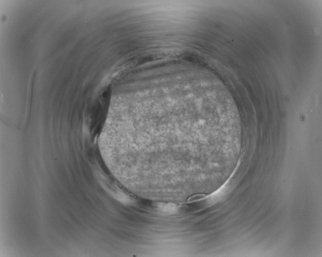 X0000065970144200603172059