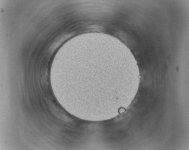 X0000065970146200603172058