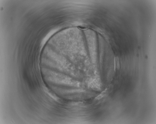 X0000065970147200603172058