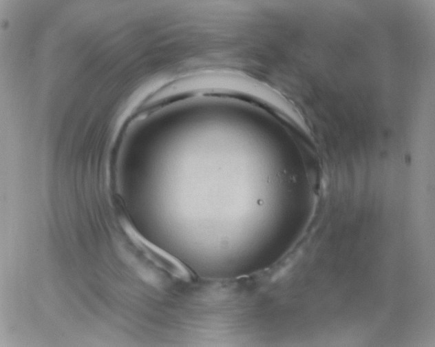 X0000065970148200603172058