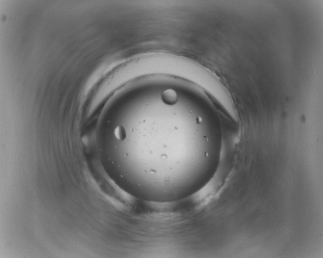 X0000065970150200603172059