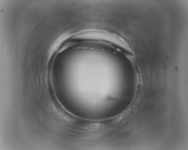 X0000065970152200603172059