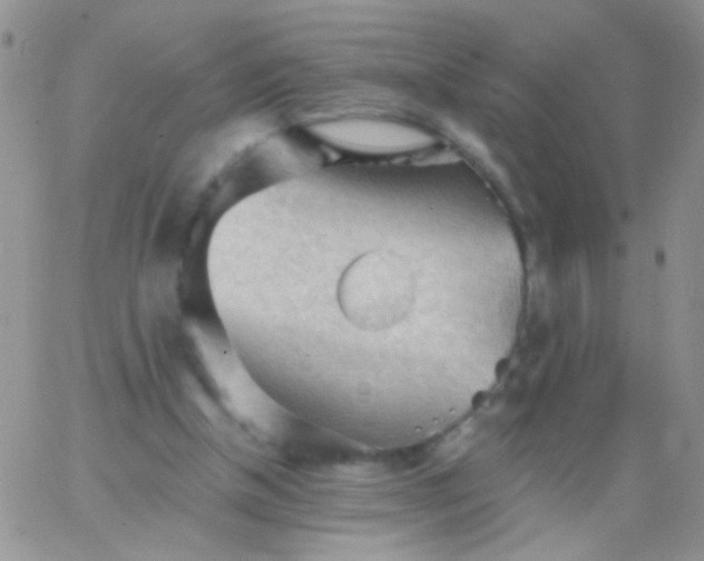 X0000065970154200603172059