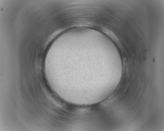 X0000065970155200603172059